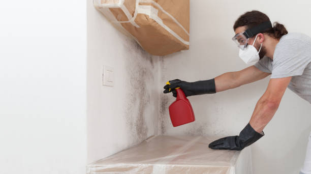 Professional Black Mold Removal technician working in White Stone, VA